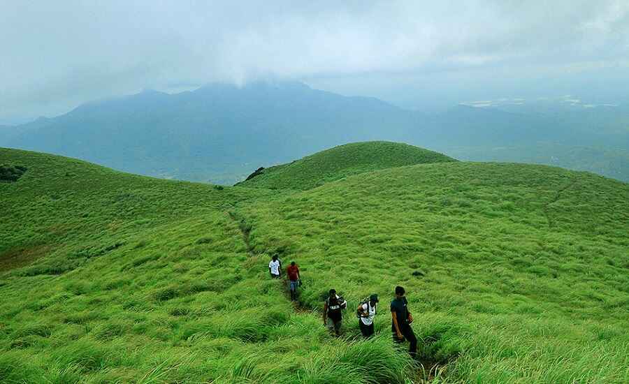 Trek to Chembra Peak, Kerala