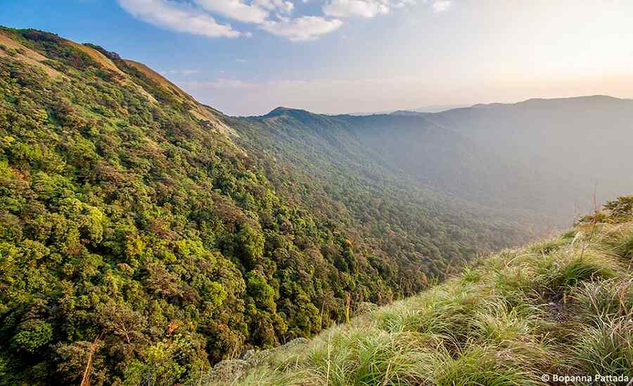 Trek to Pushpagiri in Coorg