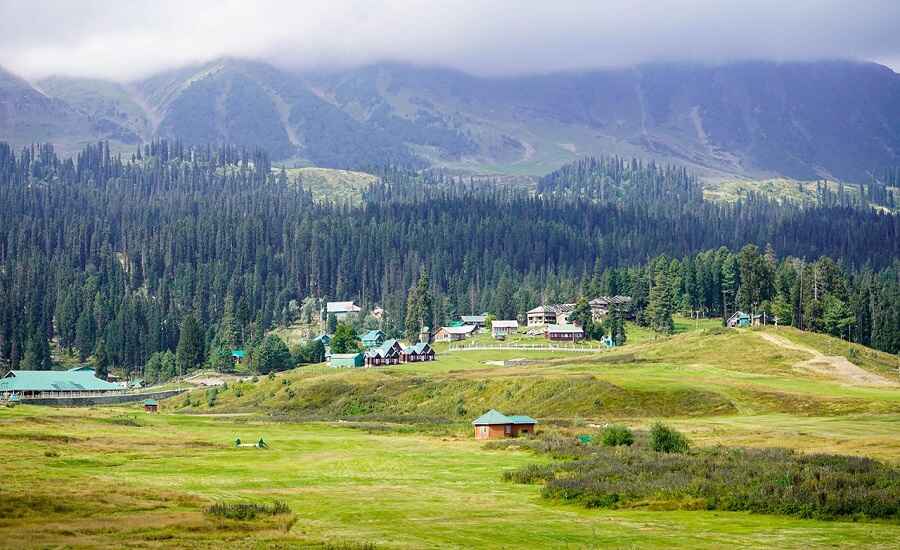 Explore the Meadows of Gulmarg